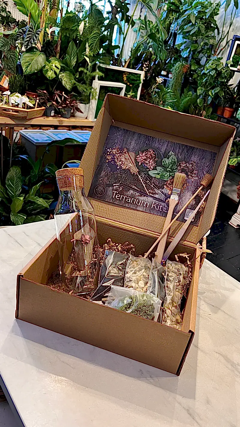 Bottle terrarium kit