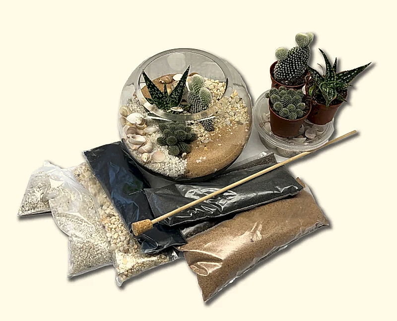 Cactus & Succulent terarrium kit