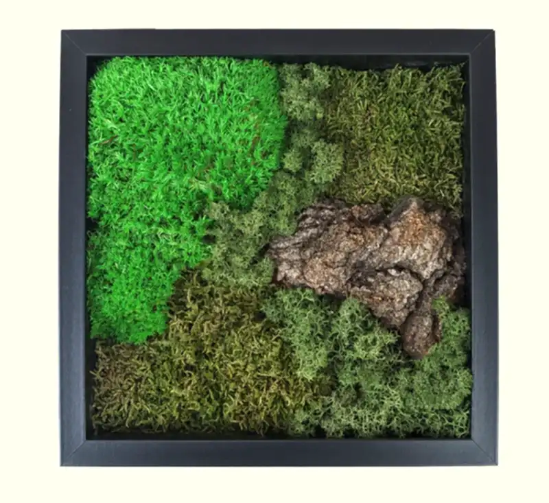 Moss Frame
