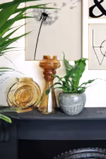 #detail-photo