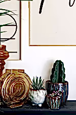 #detail-photo