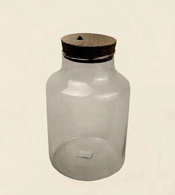 LED Glass Jar