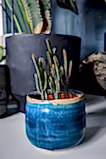 `#detail-photo`