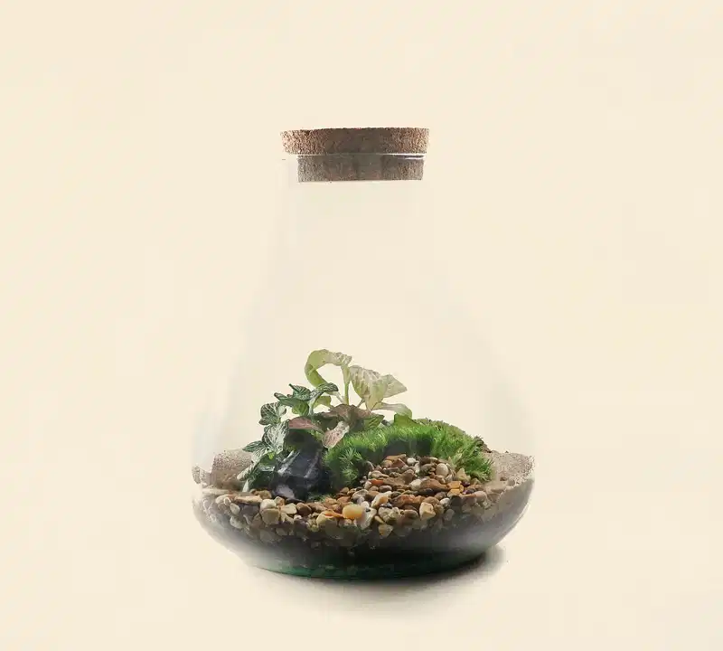 Pyramid terrarium